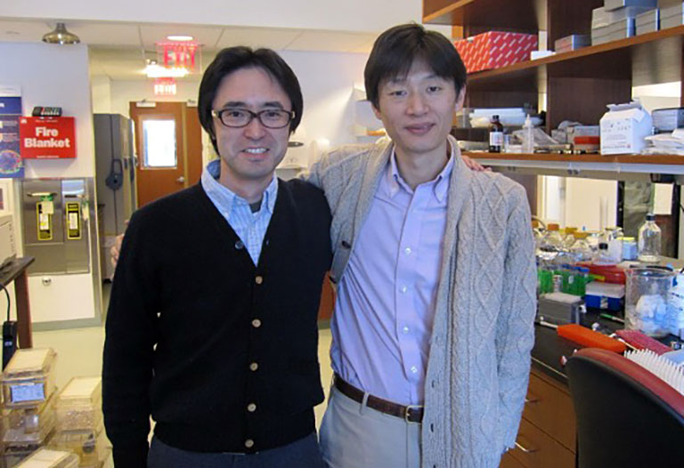 2013年 大学院時代の指導医である片山義雄先生(神戸大学血液内科)とAlbert Einstein College of Medicineのラボにて。